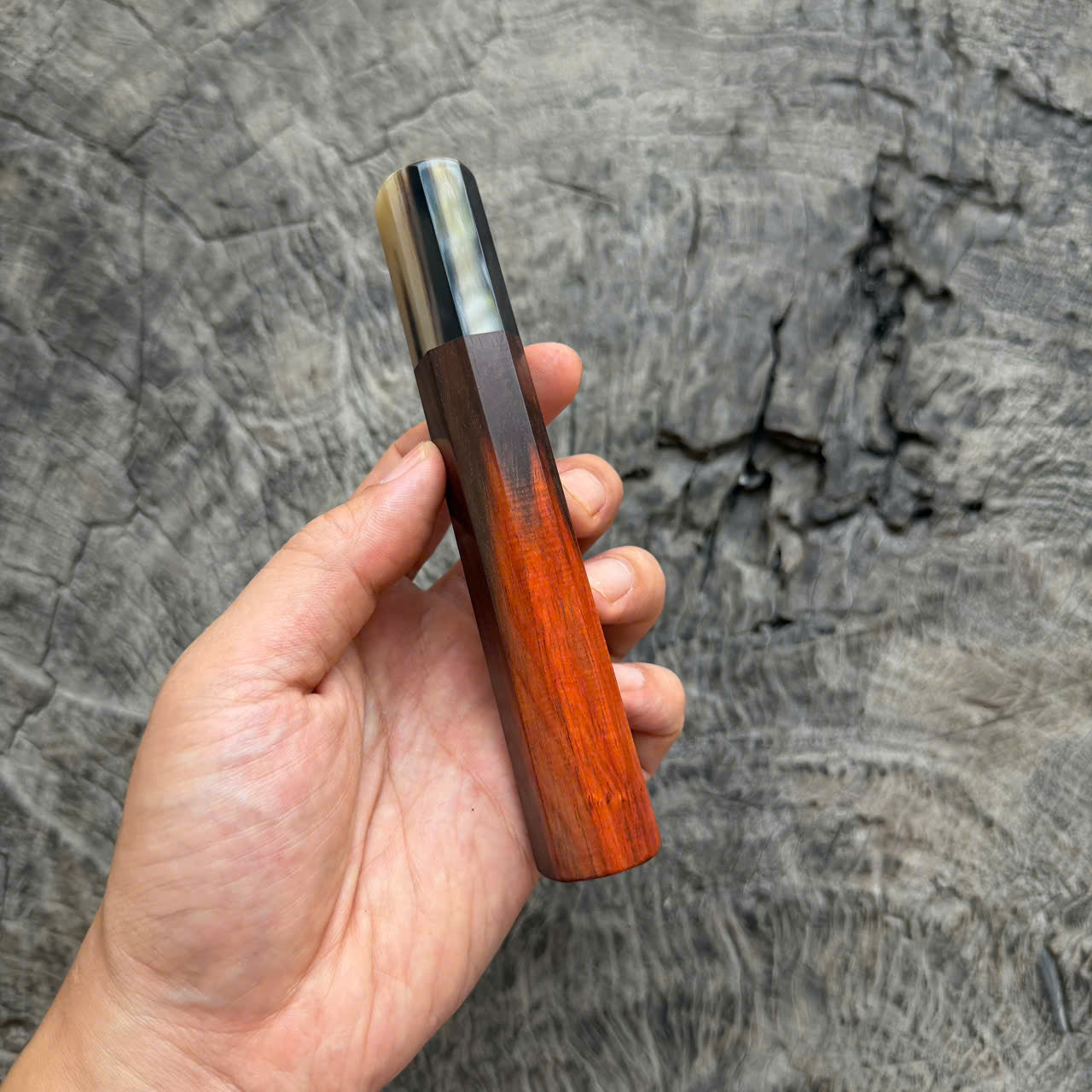 I - Rare Two tone Micro Curly Siamese Rosewood Wa handle, Two tone horn ferrule, 140mm handle
