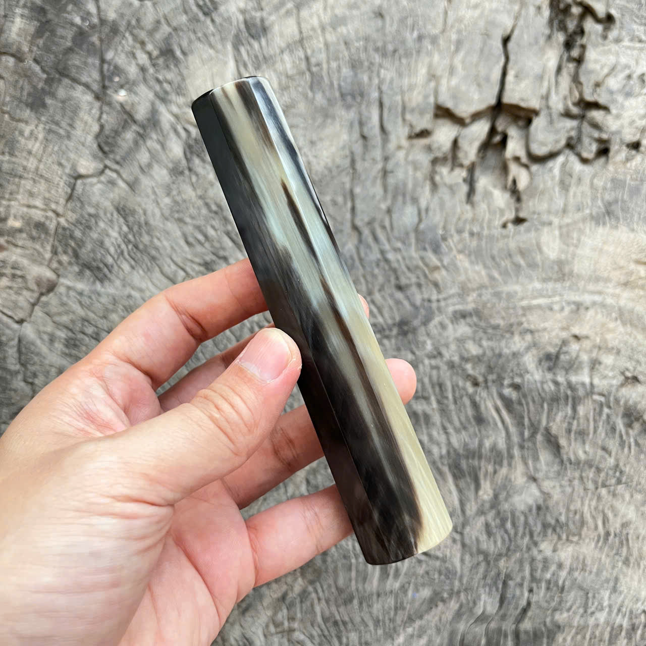I- Full horn with rare color, Mono, 138 mm