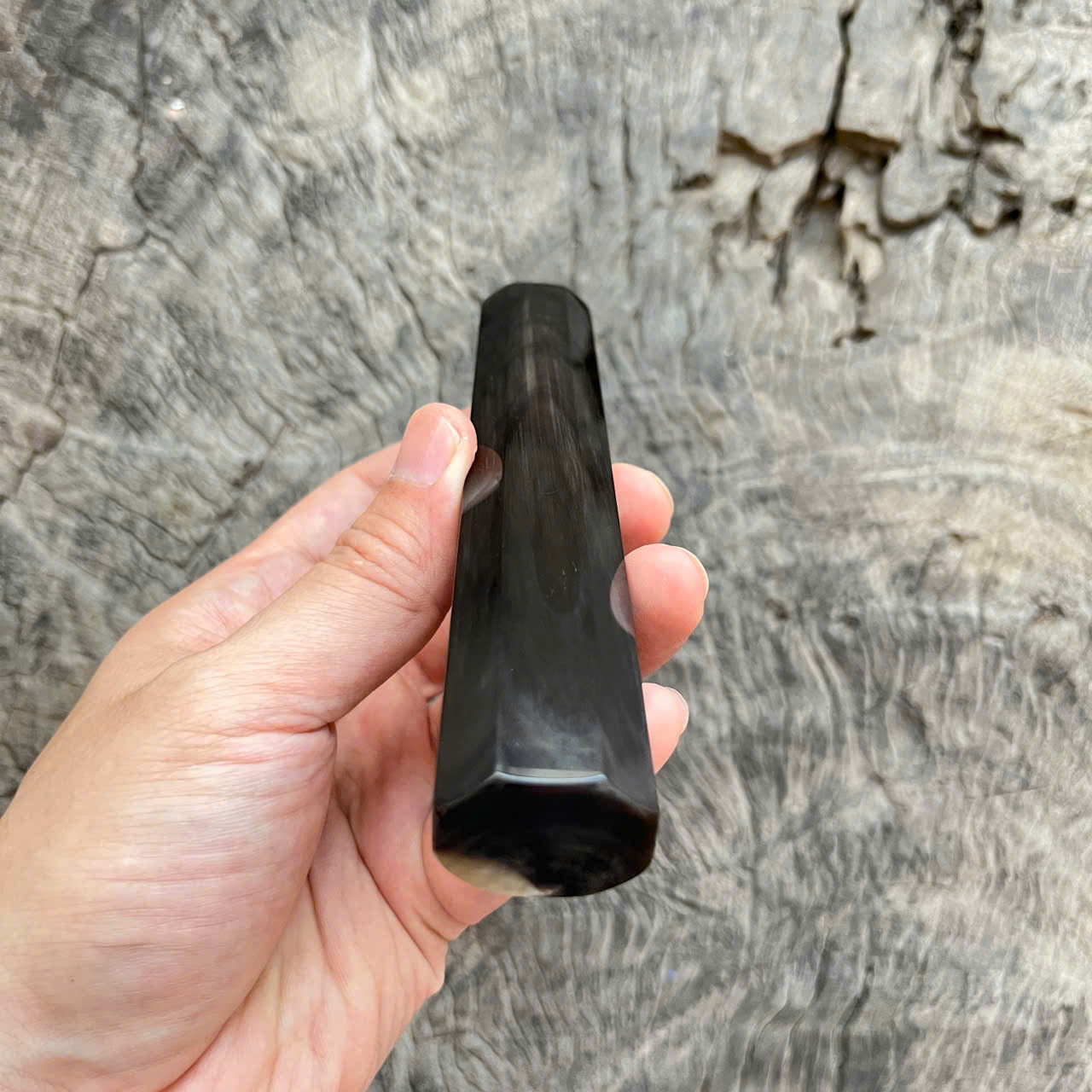 I- Full horn with rare color, Mono, 138 mm