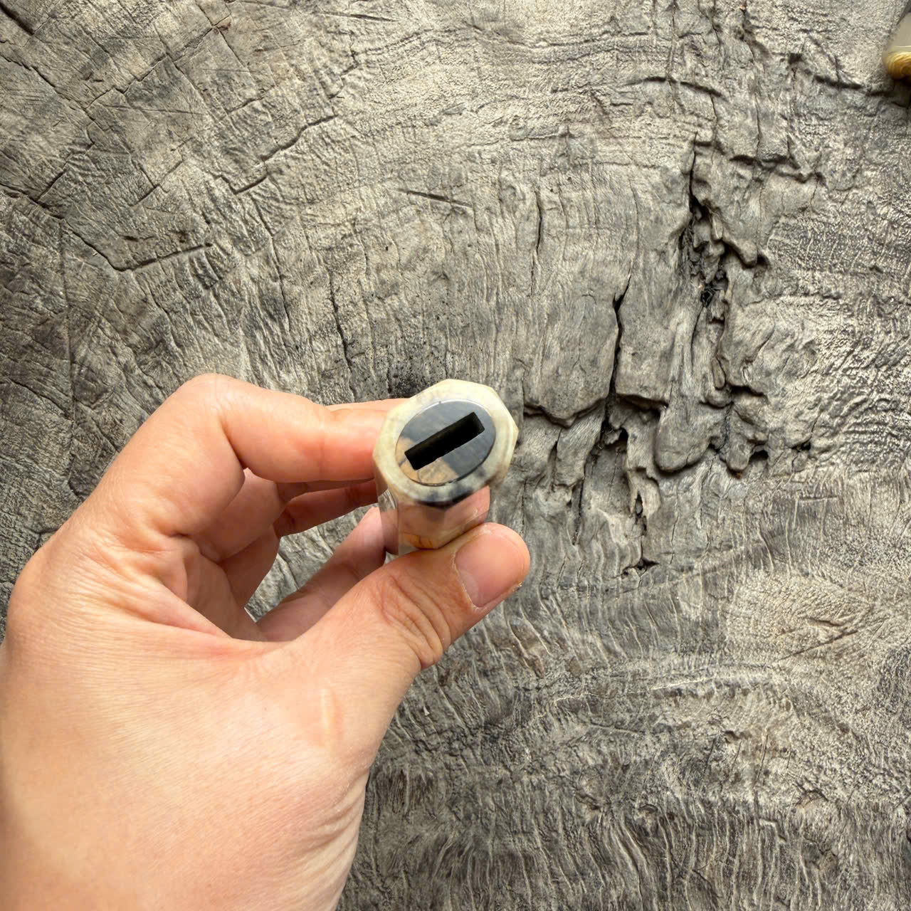 I- 3 Black White Ebony Wa handle, Cream horn ferrule- 135mm