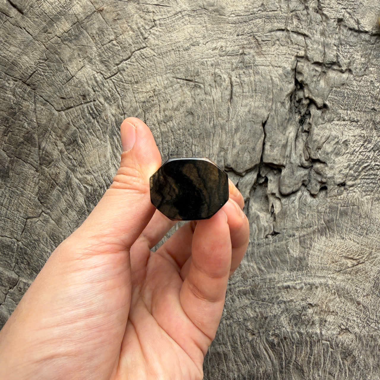 I- 3 Black White Ebony Wa handle, Cream horn ferrule- 135mm