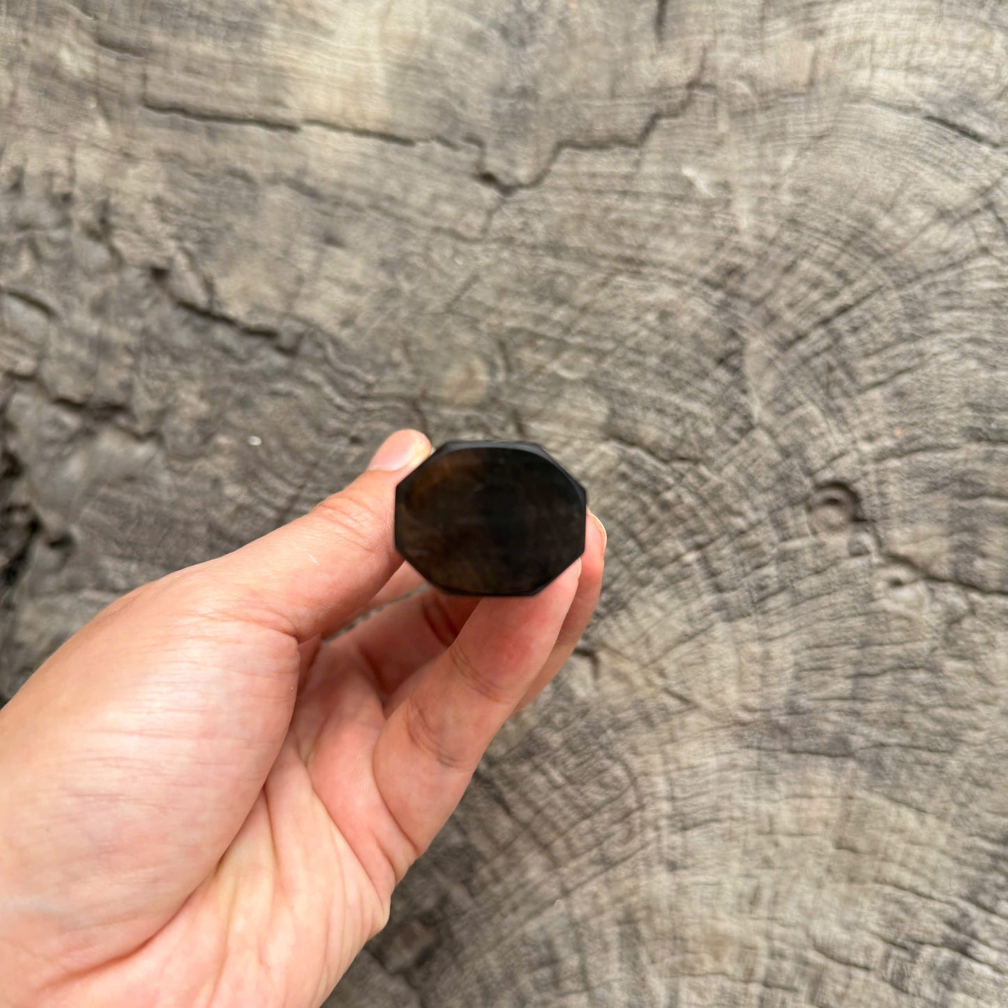 I - 21 Ebony wood wa handle, Marble horn ferrule - 140mm