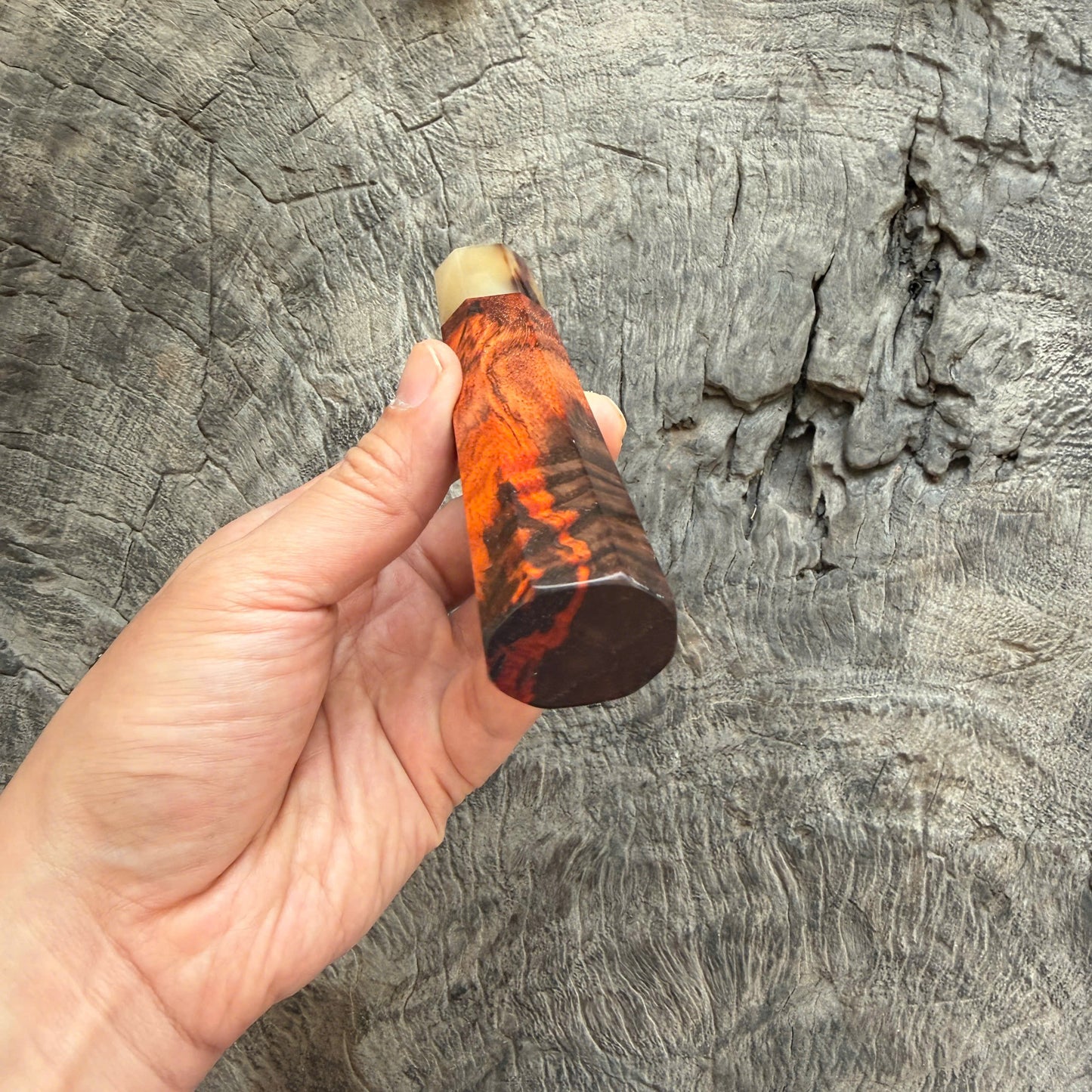 I - 31 Quilted Siamese Rosewood Wa handle, Marble Horn Ferrule - 145 mm