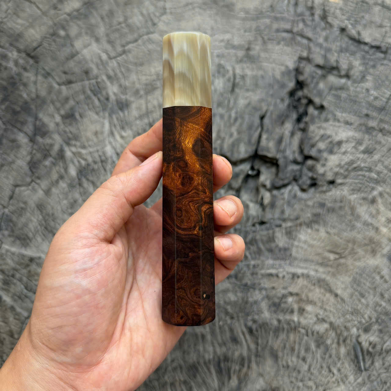 I - Super Dark Burl Desert ironwood Wa handle, Ivory horn ferrule, 145 mm handle