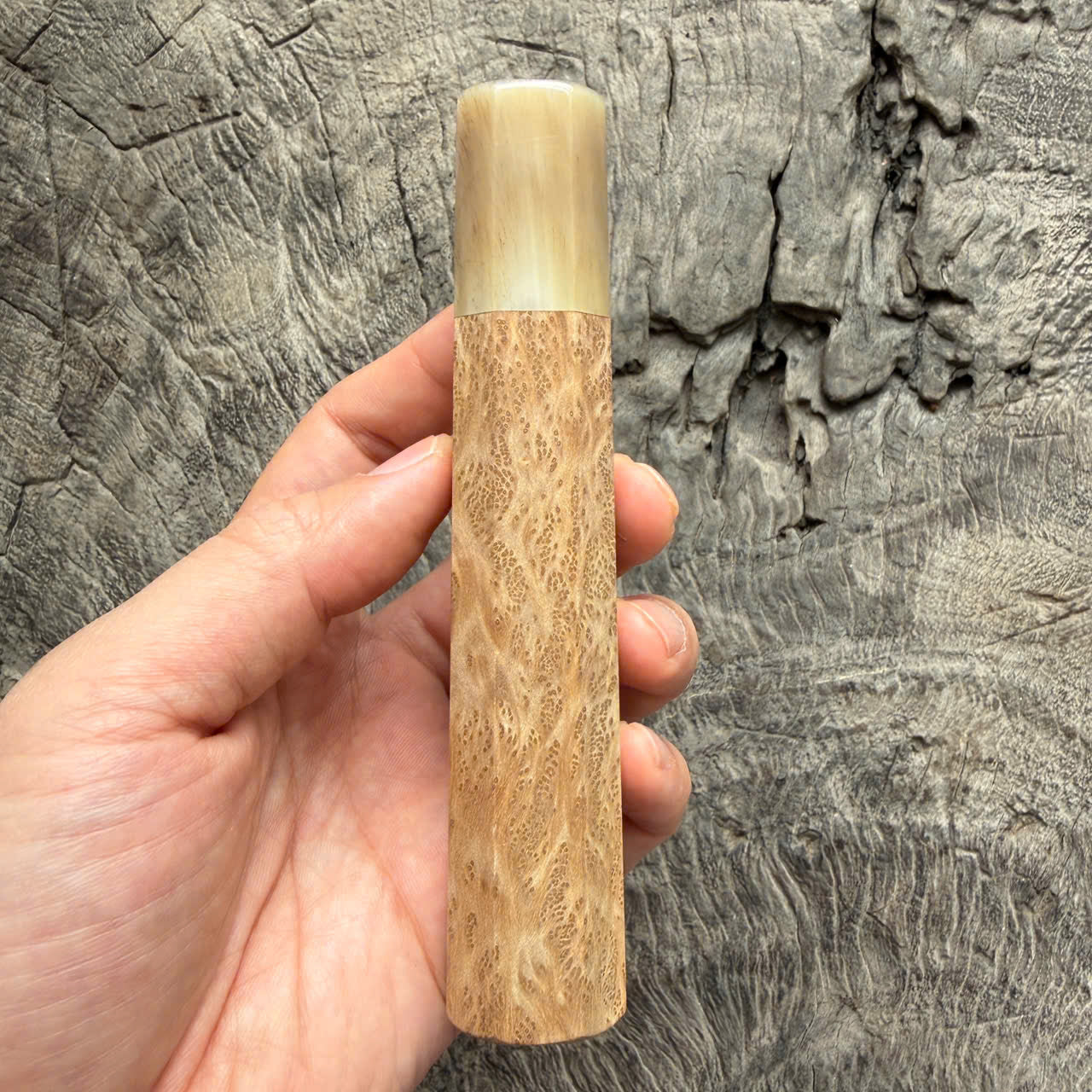 I- 4 Burl Crape myrtle Wa handle, Ivory horn ferrule- 135mm