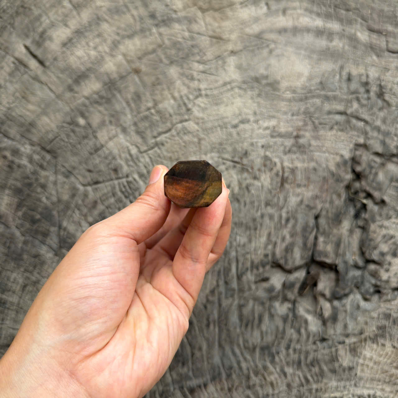 I- Multicolored Siamese Rosewood Burl Wa handle, Mono,  135mm