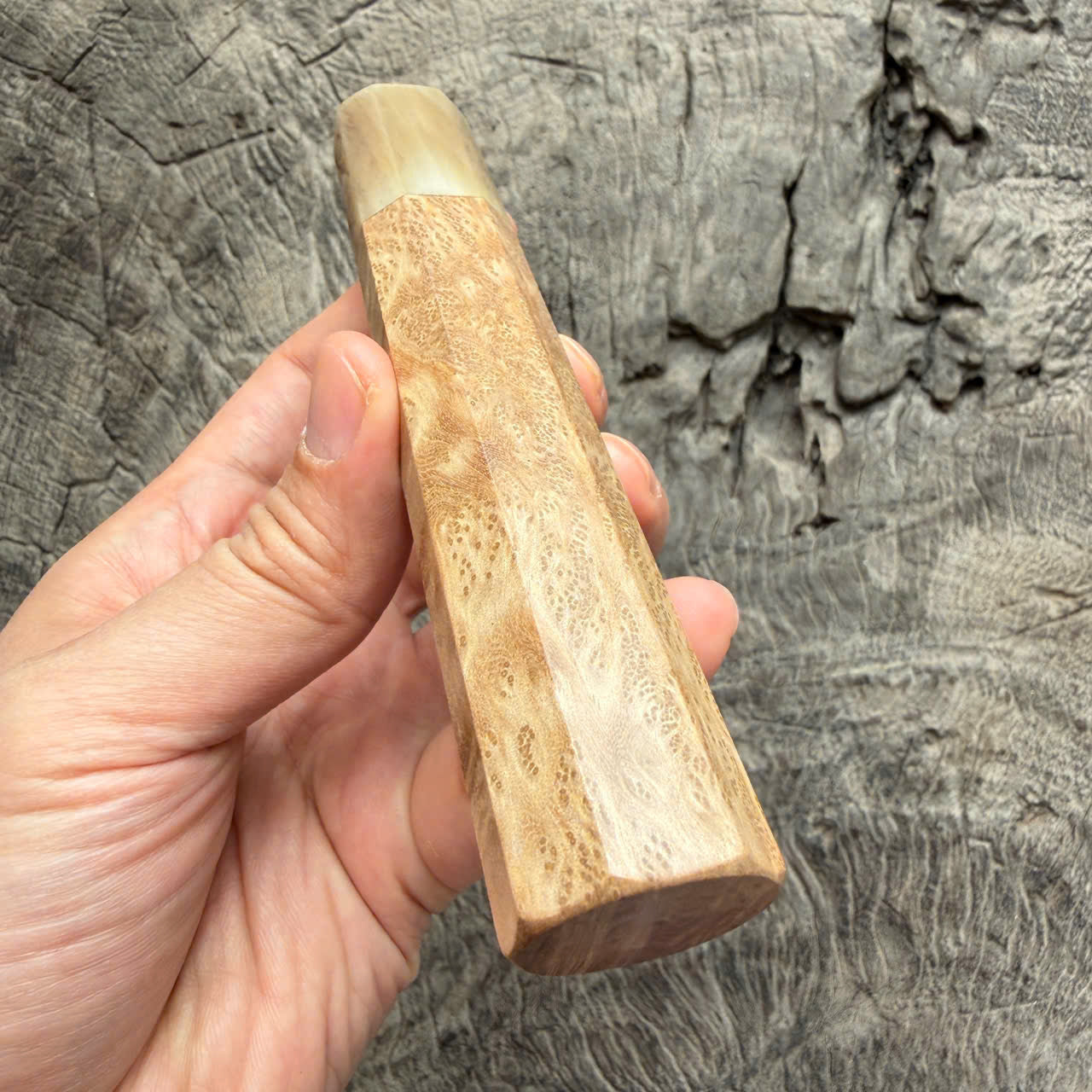 I- 4 Burl Crape myrtle Wa handle, Ivory horn ferrule- 135mm