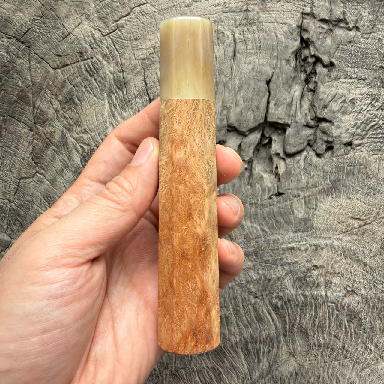 I- 4 Burl Crape myrtle Wa handle, Ivory horn ferrule- 135mm