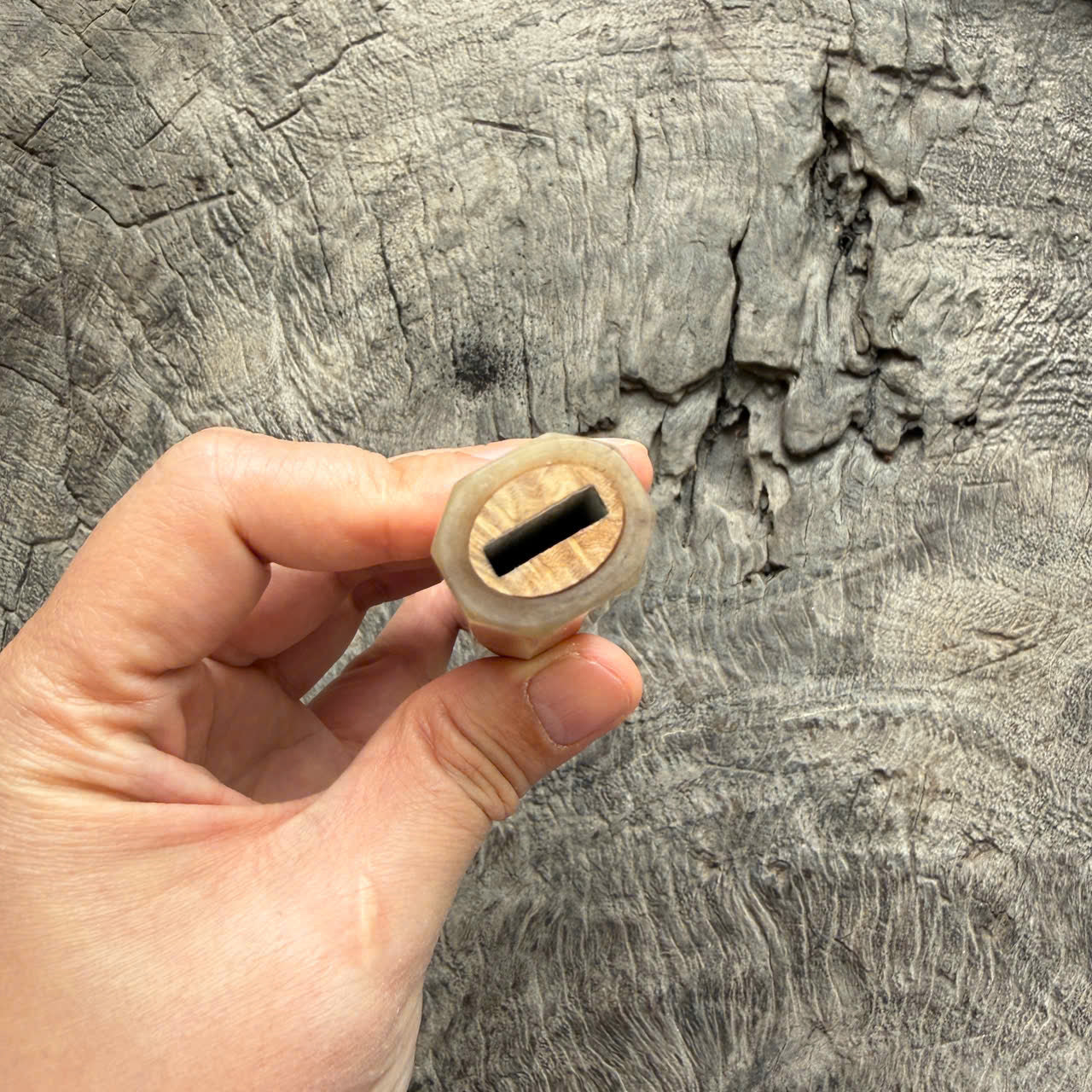 I- 4 Burl Crape myrtle Wa handle, Ivory horn ferrule- 135mm