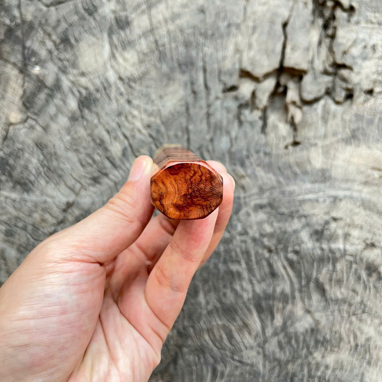I- 6 Two tone Amboyna Burl Wa handle, Mono, 135 mm