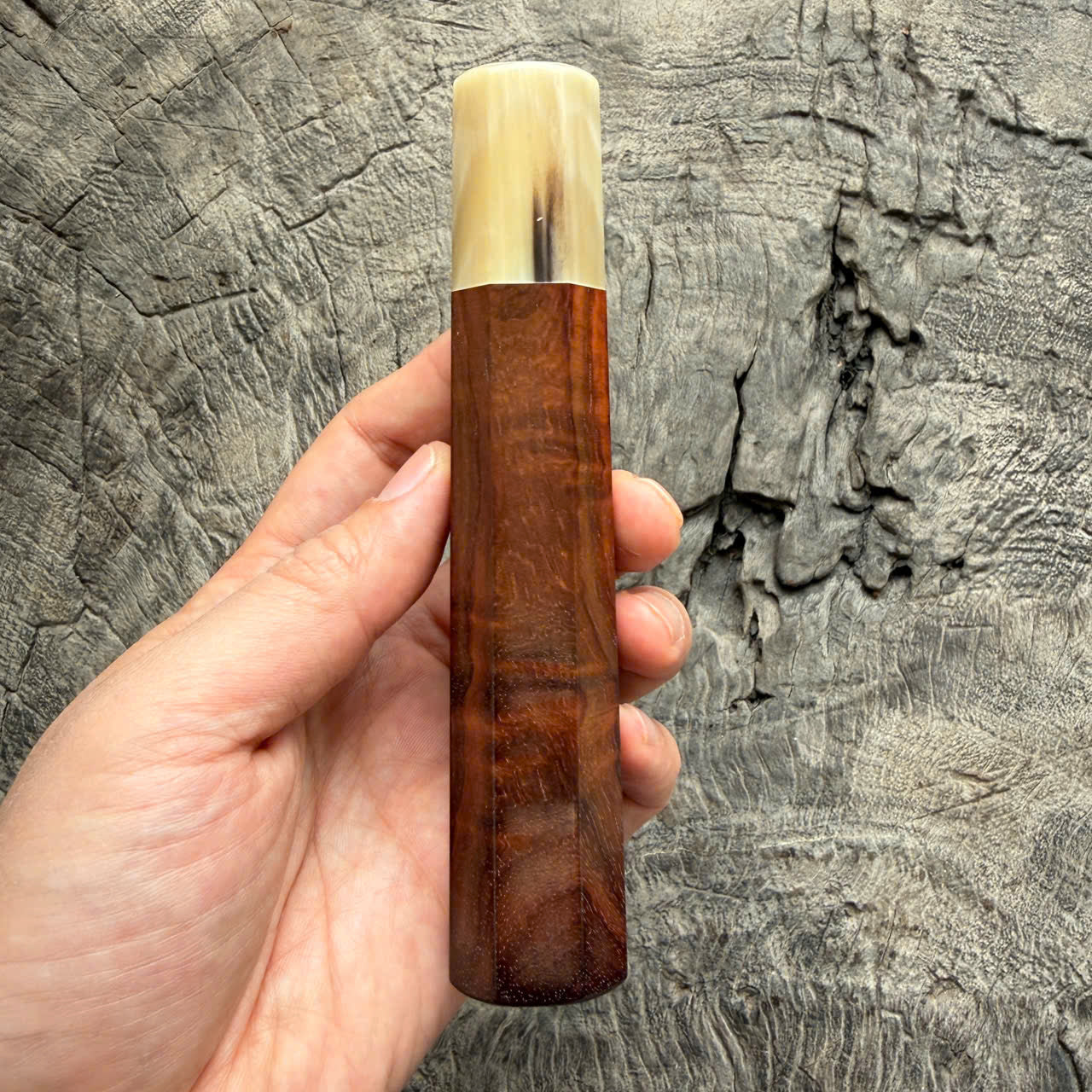 I - 20 Curly Siamese Rosewood Wa handle, Ivory Horn ferrule - 145 mm