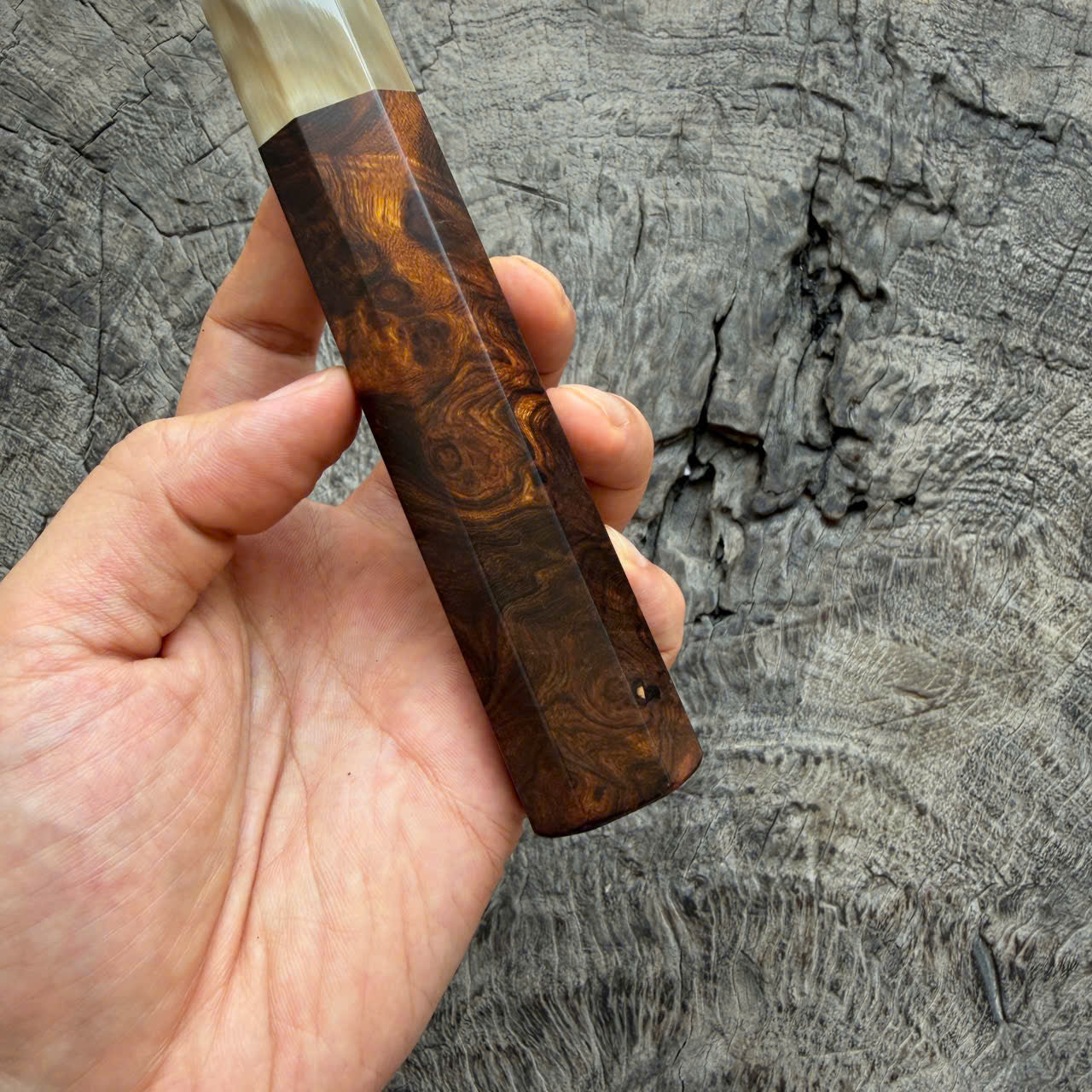 I - Super Dark Burl Desert ironwood Wa handle, Ivory horn ferrule, 145 mm handle