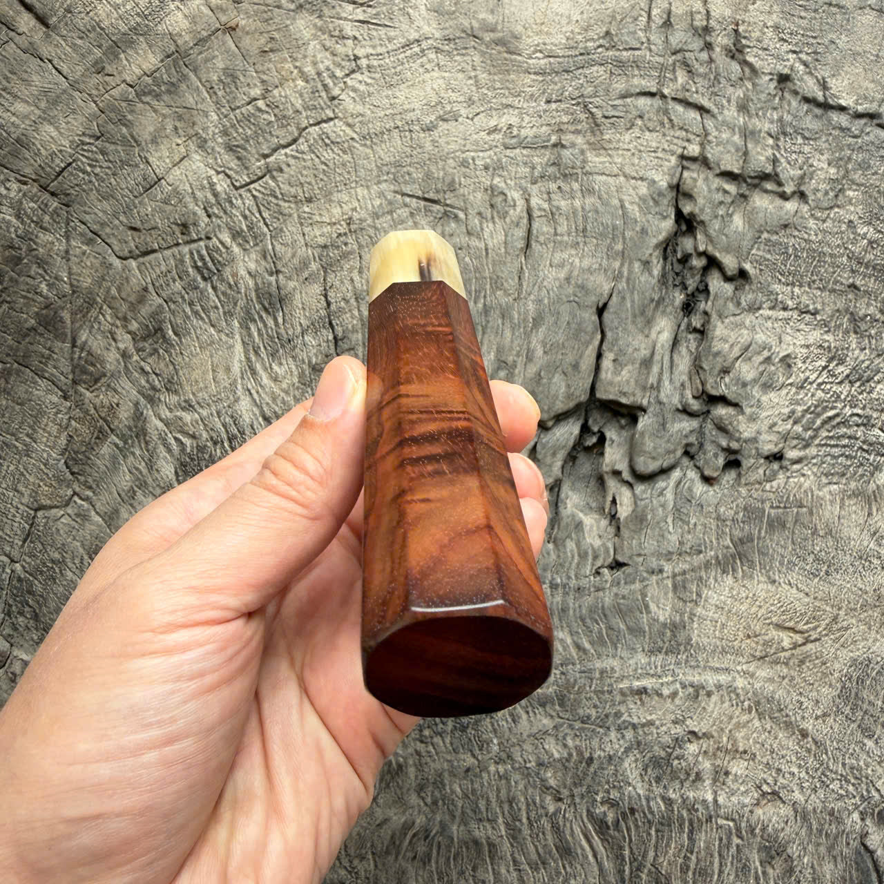 I - 20 Curly Siamese Rosewood Wa handle, Ivory Horn ferrule - 145 mm