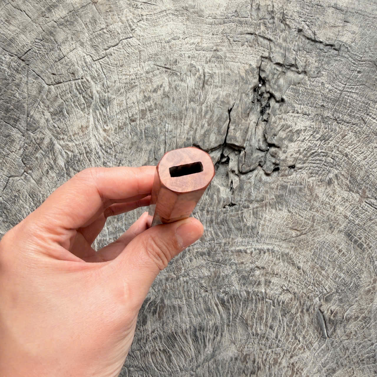 I- 5 Viet Ironwood Burl, Mono - 135mm