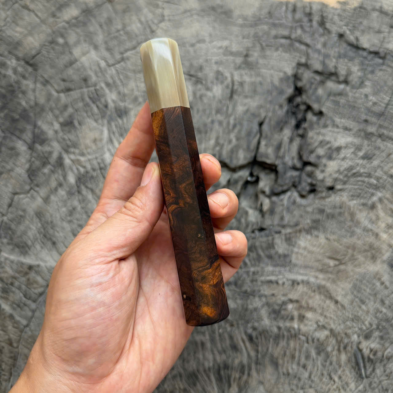 I - Super Dark Burl Desert ironwood Wa handle, Ivory horn ferrule, 145 mm handle