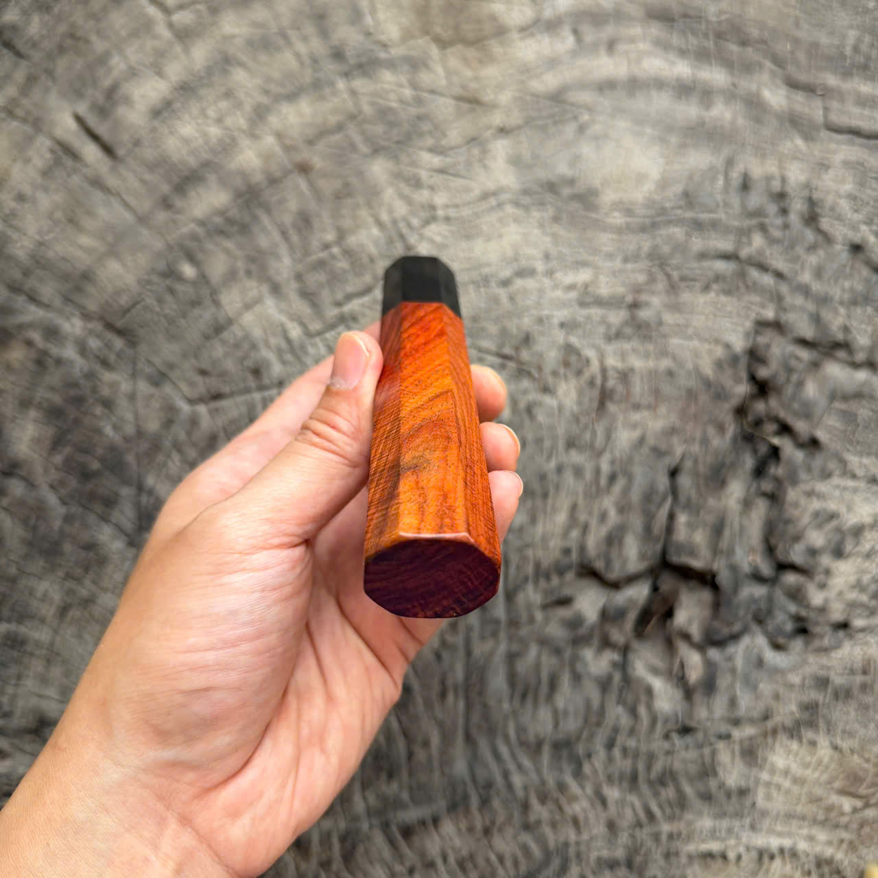 I - Curly Orange Siamese Rosewood  Wa handle, Black Horn Ferrule , 140mm handle