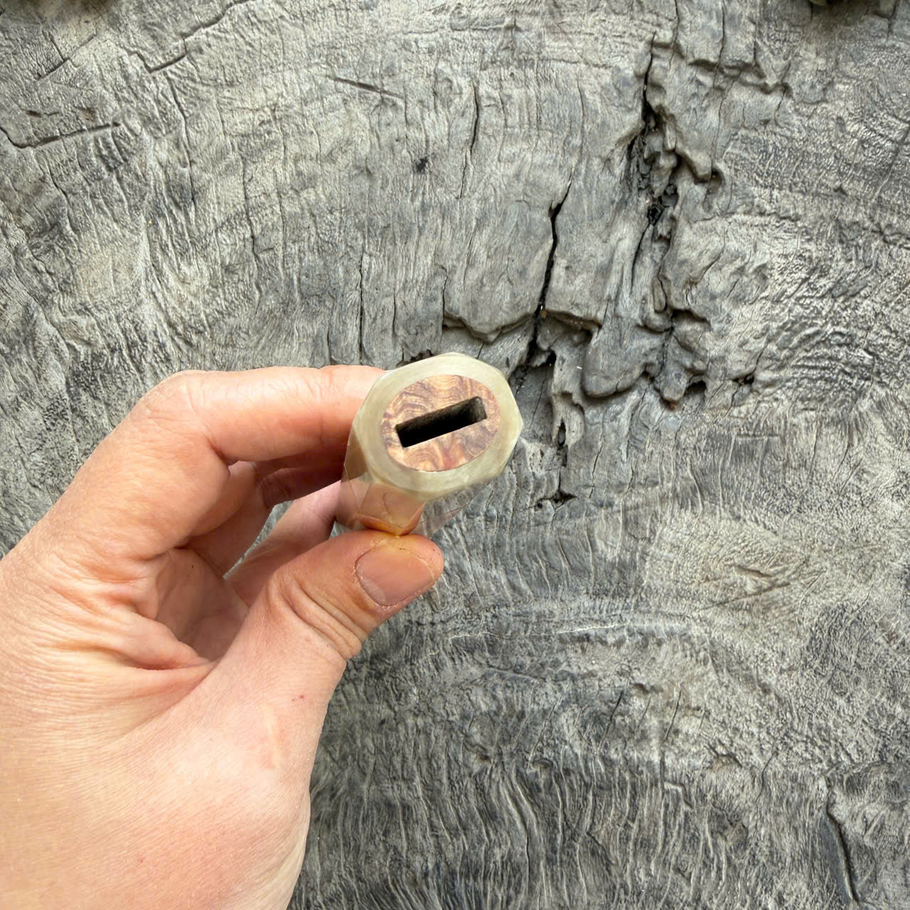 I - Two Tone Viet Cedar Burl Wa handle, Ivory Horn Ferrule & End cap -  140 mm