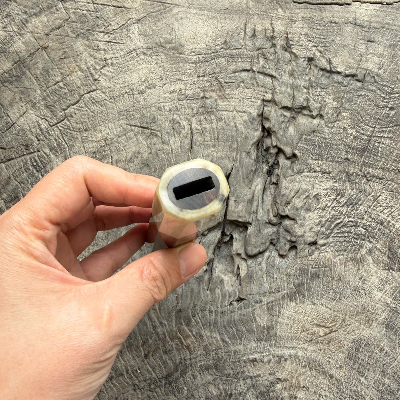 I - 2 Desert ironwood Wa handle, Cool Cream Horn Ferrule- 145 mm