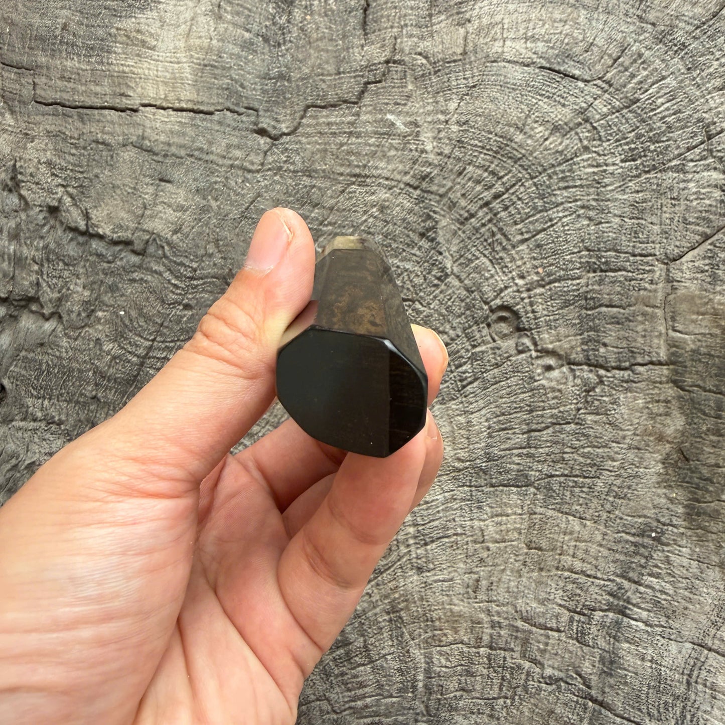 I- 19 Ebony wood wa ,Marble horn ferrule, Diagonal cut - 135mm