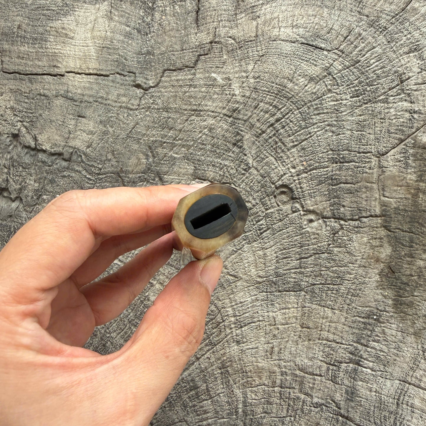 I- 19 Ebony wood wa ,Marble horn ferrule, Diagonal cut - 135mm