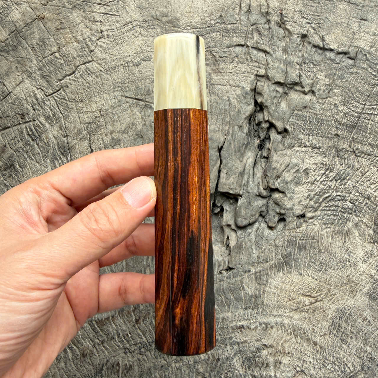 I - 2 Desert ironwood Wa handle, Cool Cream Horn Ferrule- 145 mm