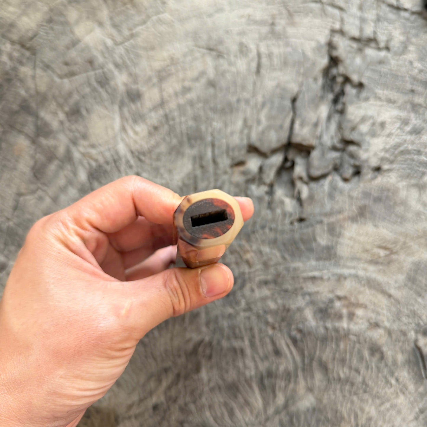 I - 31 Quilted Siamese Rosewood Wa handle, Marble Horn Ferrule - 145 mm