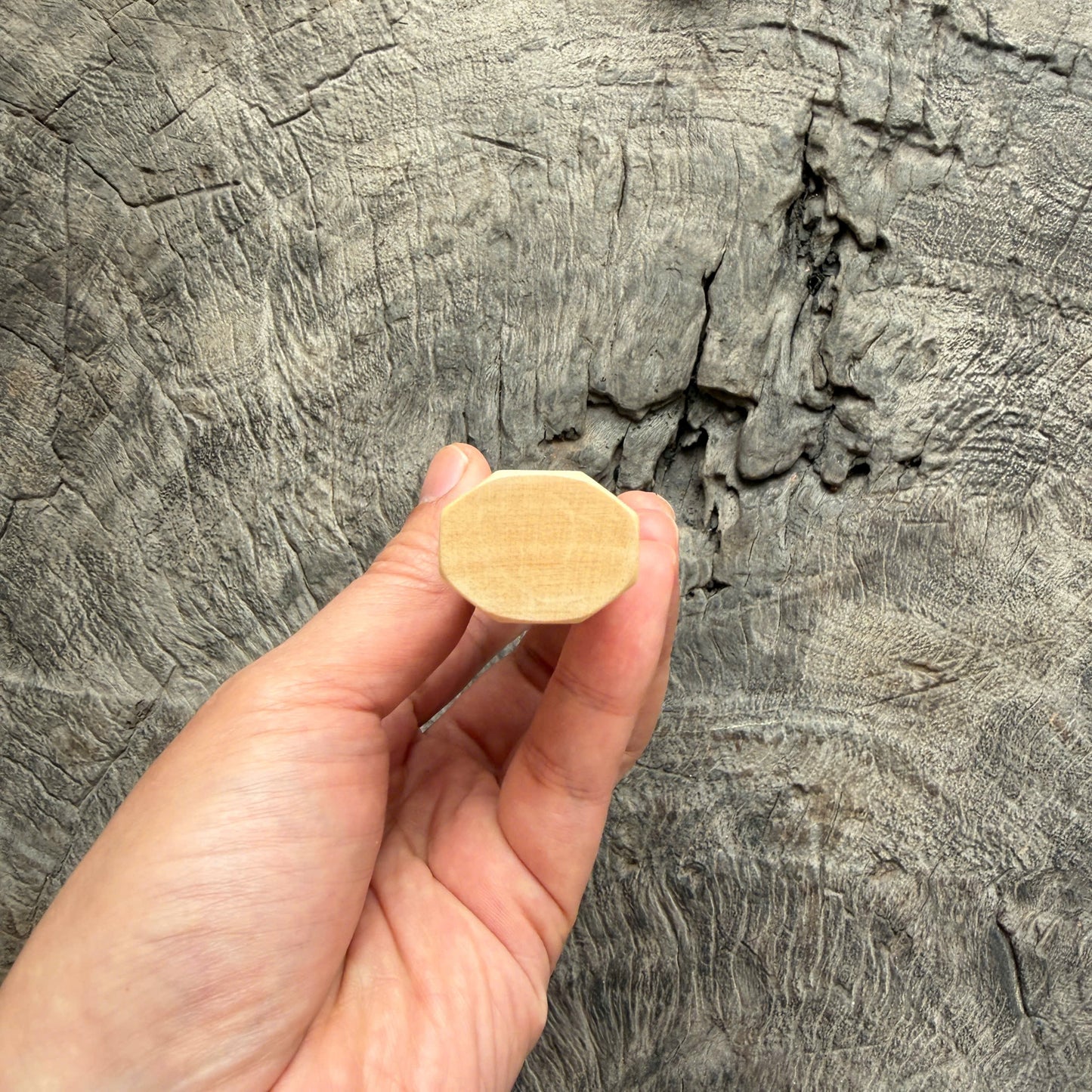 I - 2 White Maple Wa handle, Marble horn ferrule, Slim Shape -  140 mm