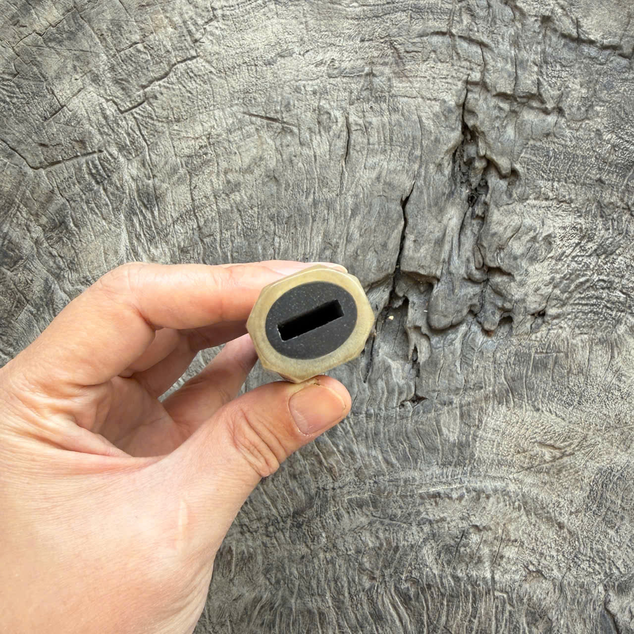 I - Amazing Black Siamese Rosewood Wa handle, Ivory Horn Ferrule - 145 mm