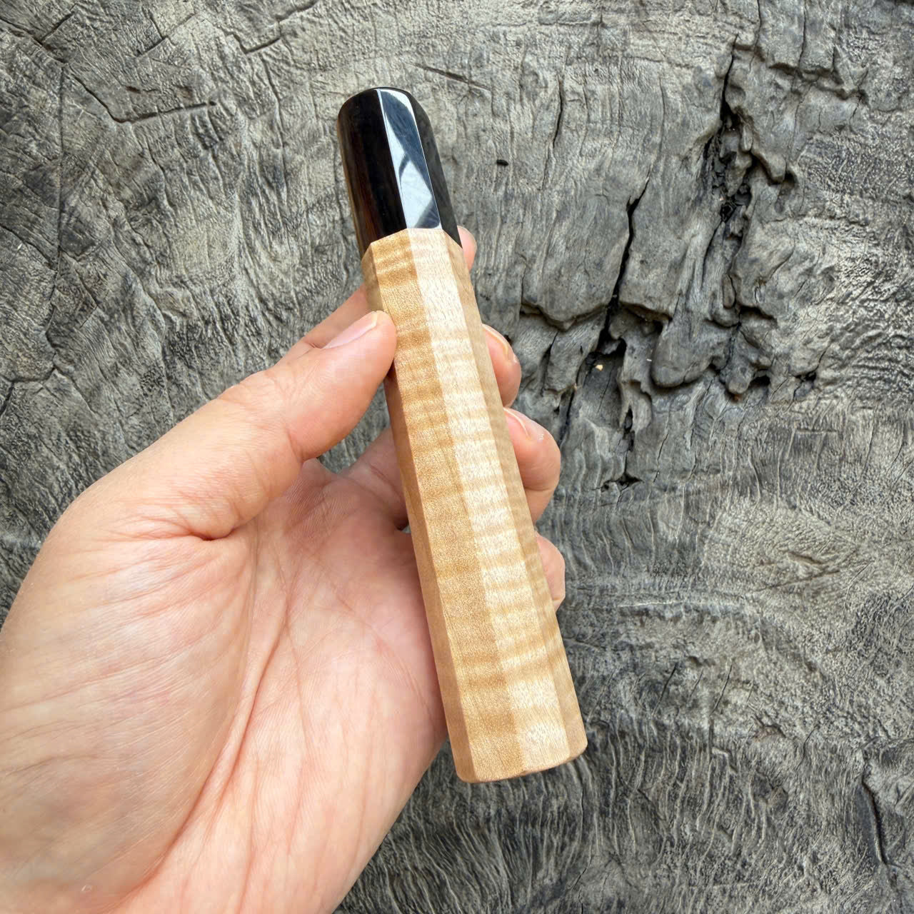 I - 6 Curly Crape myrtle Wa handle, Dark Marble Horn Ferrule - 140mm