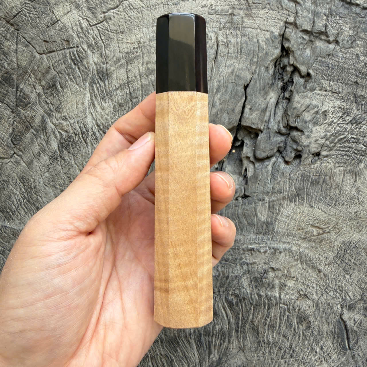 I - 6 Curly Crape myrtle Wa handle, Dark Marble Horn Ferrule - 140mm