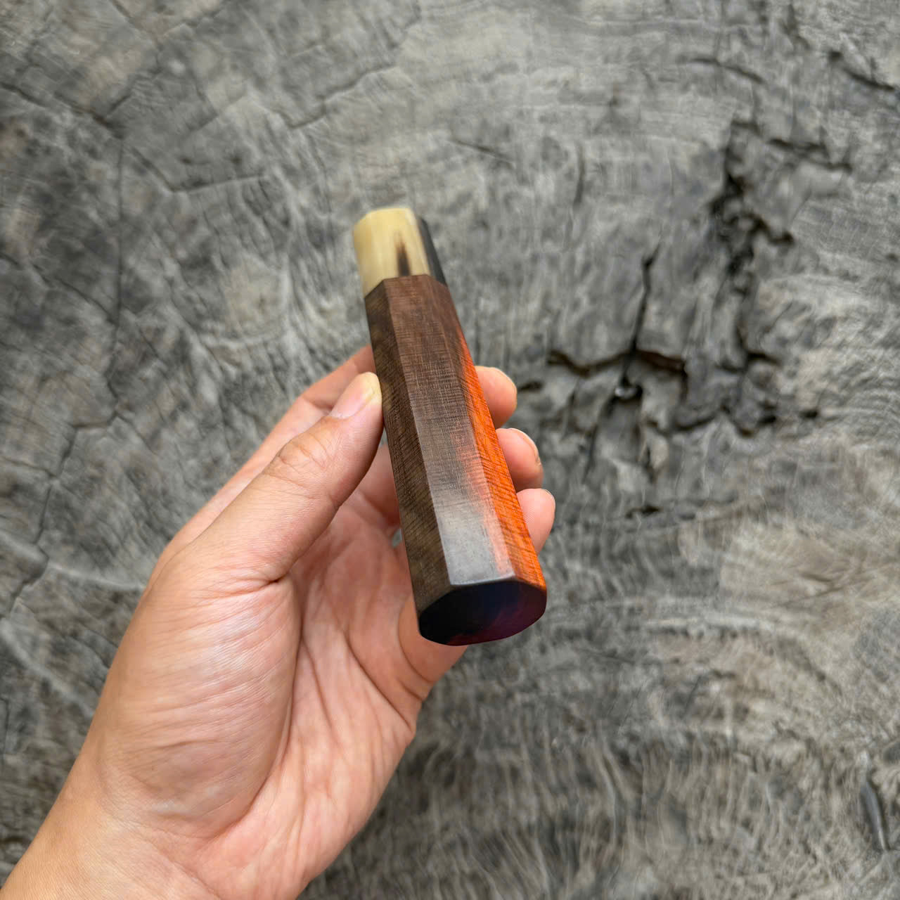 I - Rare Two tone Micro Curly Siamese Rosewood Wa handle, Two tone horn ferrule, 140mm handle