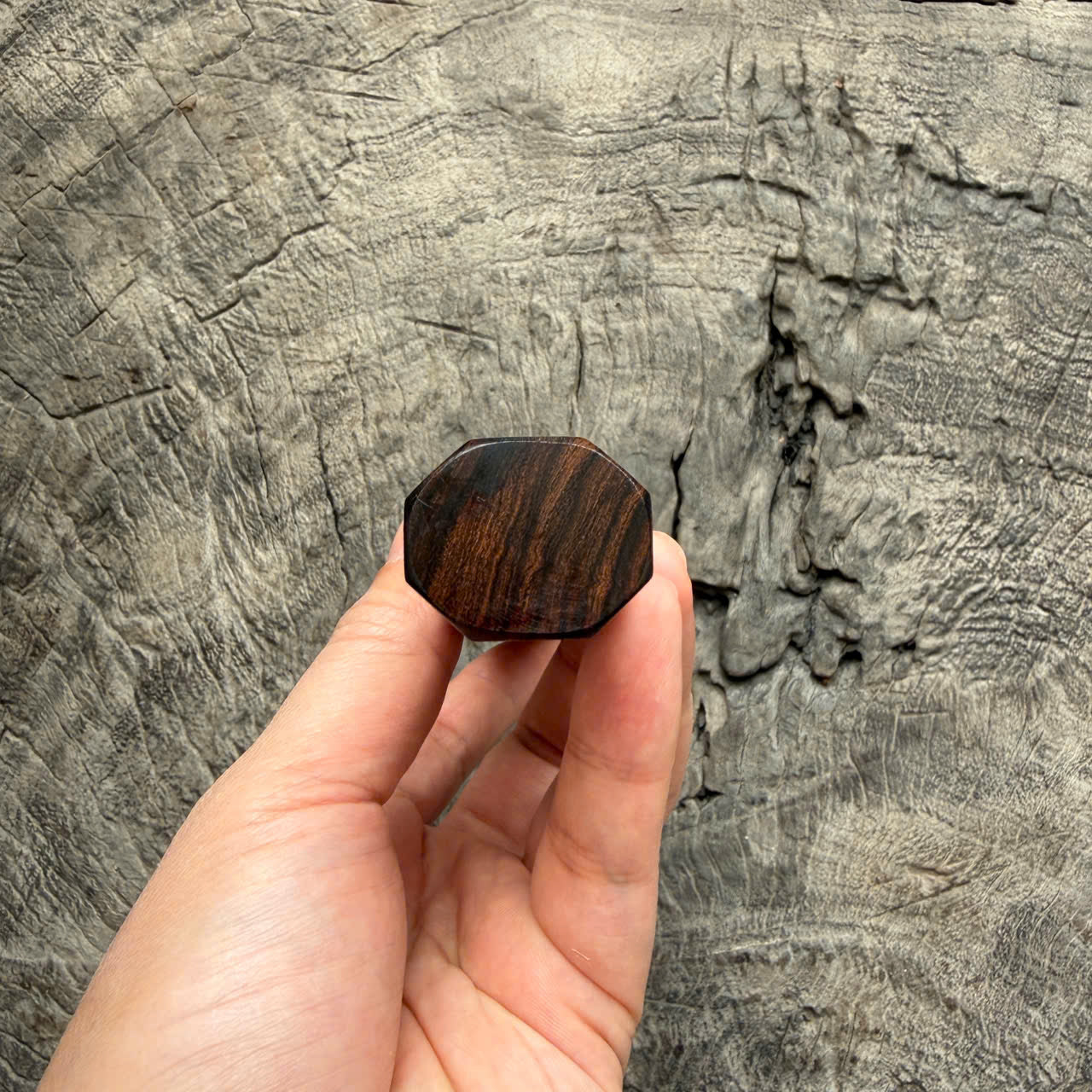 I - 2 Desert ironwood Wa handle, Cool Cream Horn Ferrule- 145 mm