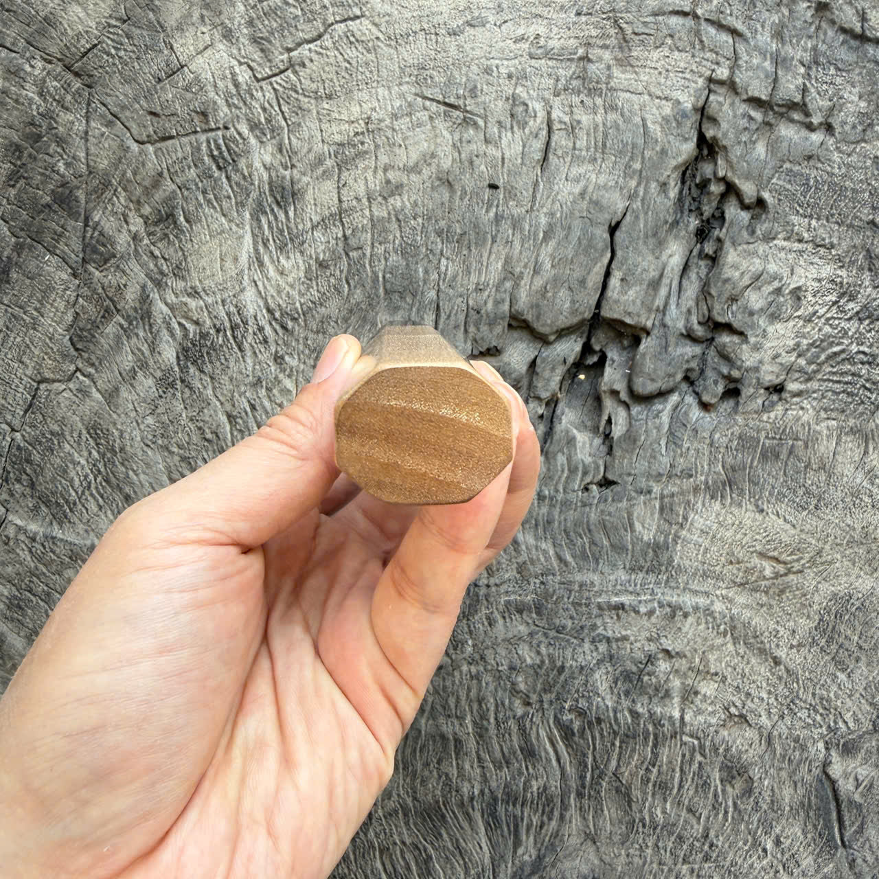 I - 6 Curly Crape myrtle Wa handle, Dark Marble Horn Ferrule - 140mm