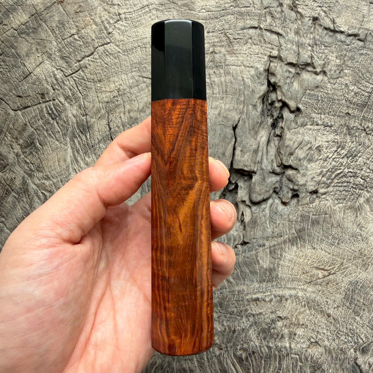 I - 29 Curly Siamese Rosewood Wa handle, Black Horn Ferrule- 145 mm