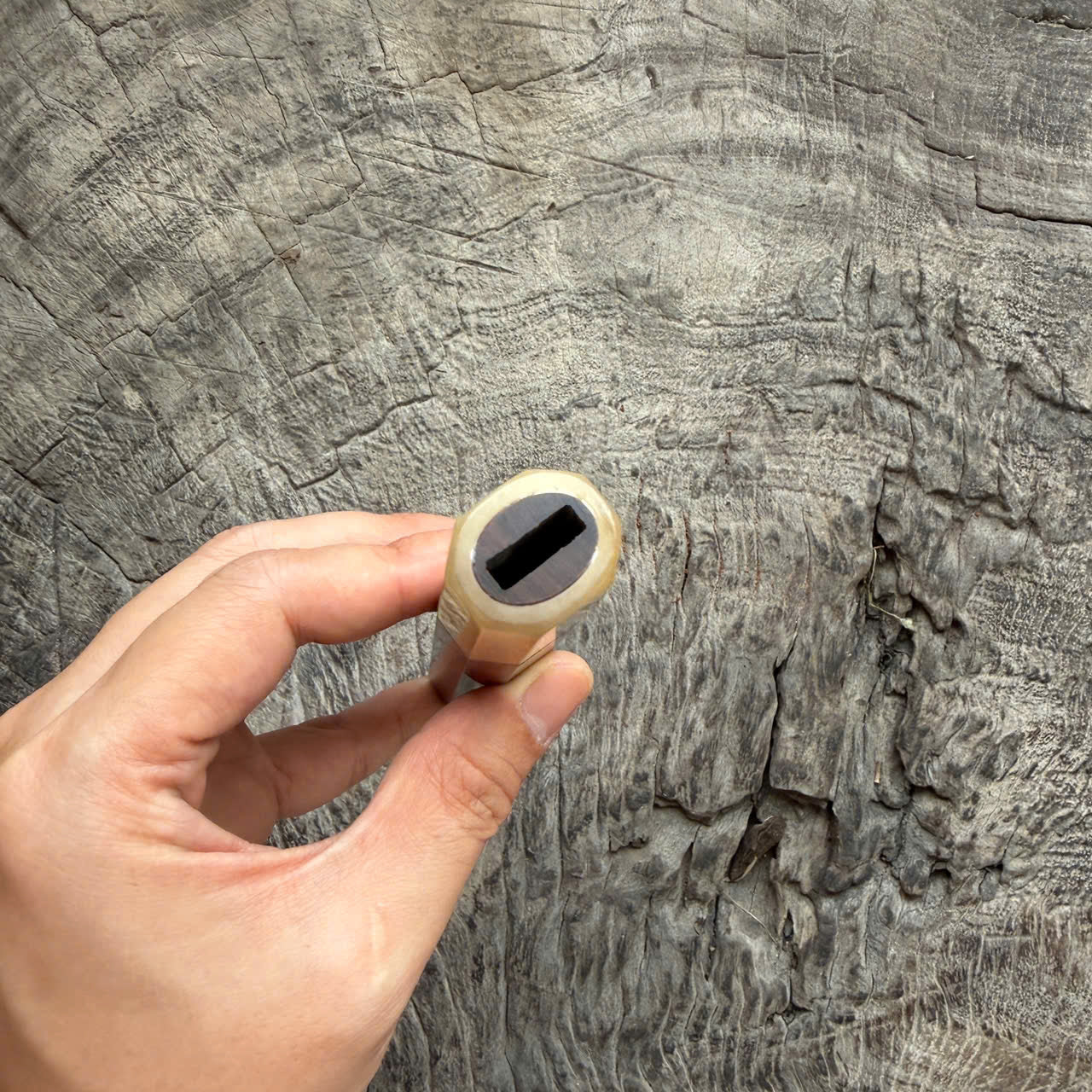 I- 7 Desert Ironwood Wa handle, White horn Ferrule - 135mm