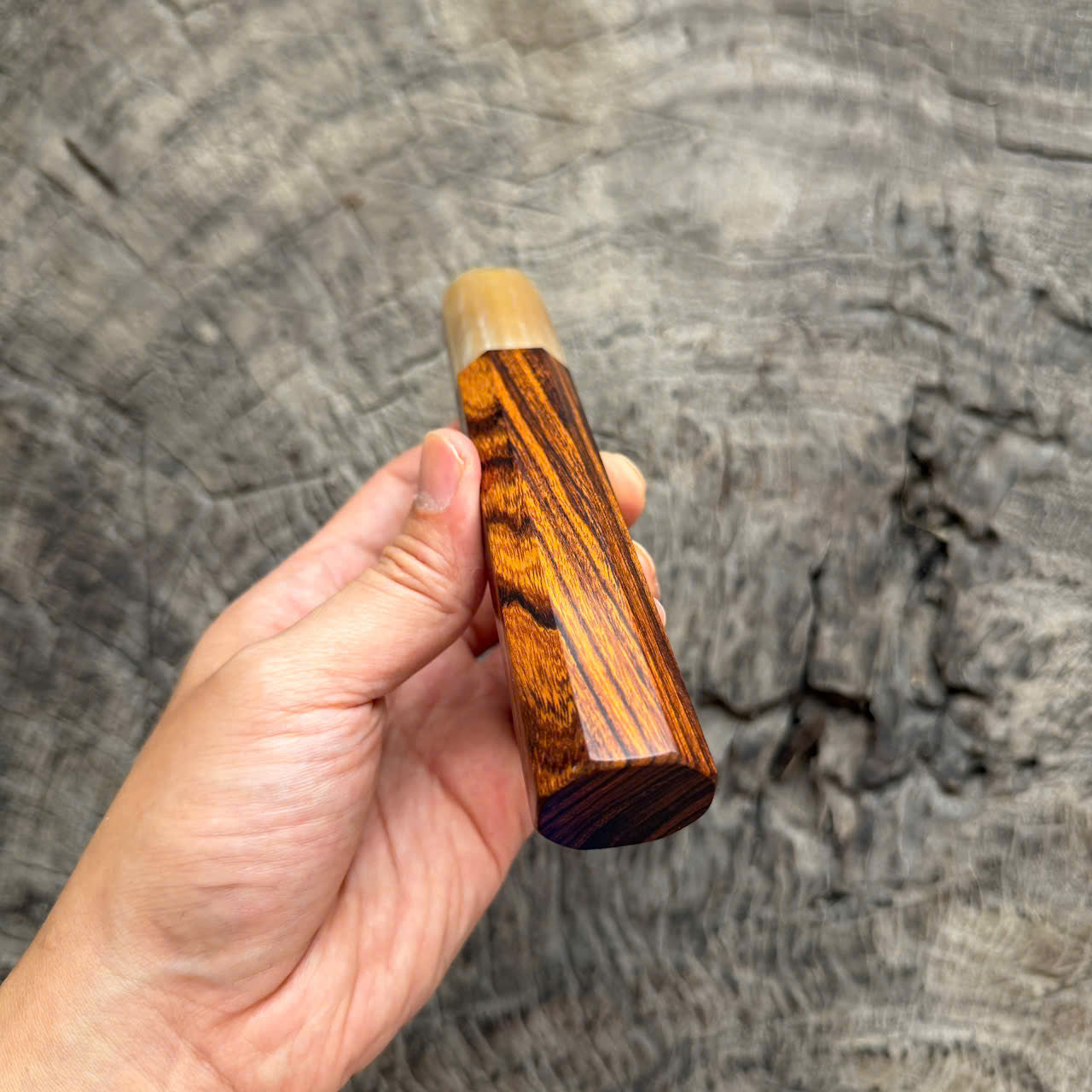 I - 4 Desert Ironwood Wa handle, Cream horn ferrule, 145 mm handle