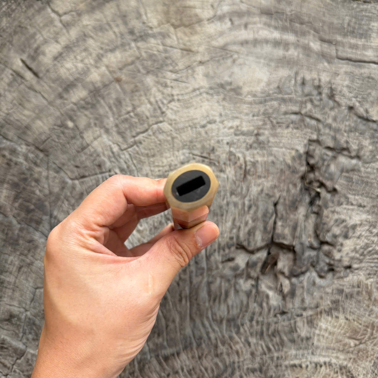I - 4 Desert Ironwood Wa handle, Cream horn ferrule, 145 mm handle