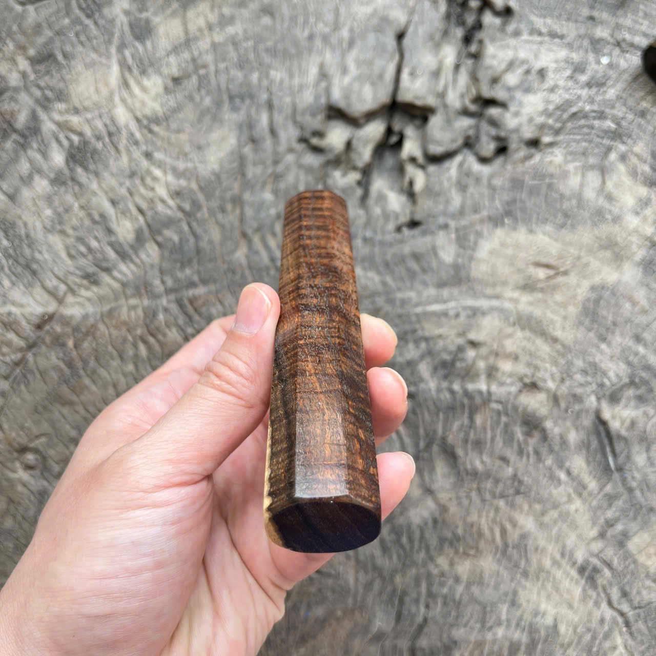 I-  Two tone Ringed gidgee Wa handle, Mono, 135 mm