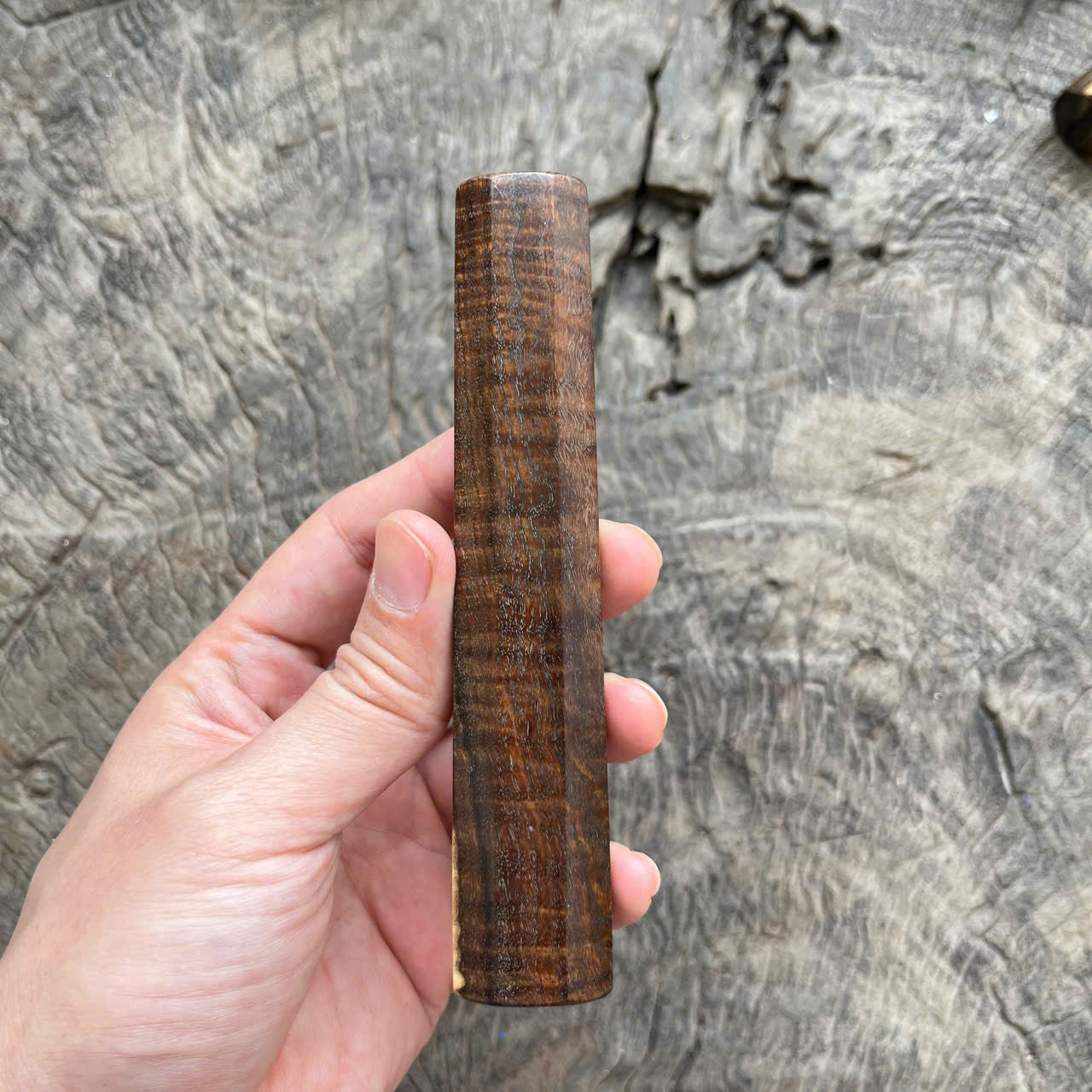 I-  Two tone Ringed gidgee Wa handle, Mono, 135 mm