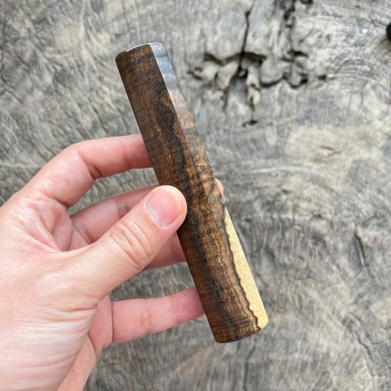 I-  Two tone Ringed gidgee Wa handle, Mono, 135 mm