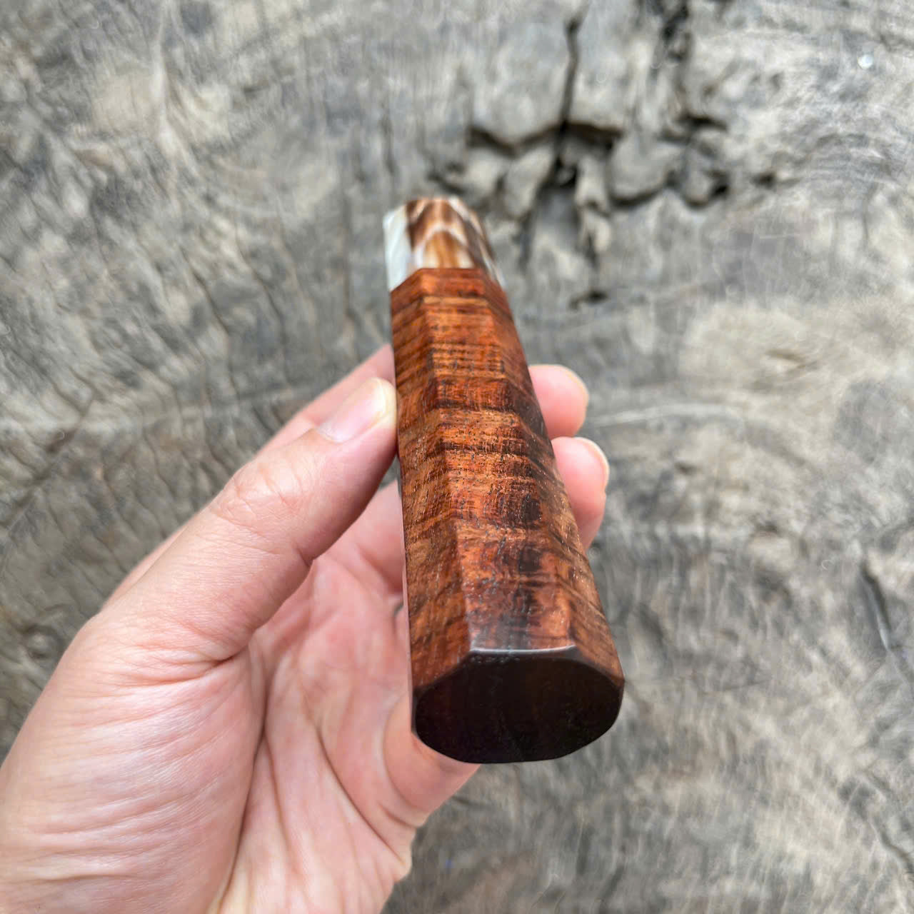 I - 6 Dark Curly Siam Rosewood Wa handle,  Marble horn - 140mm