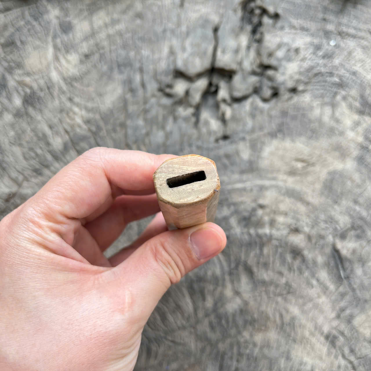 I- 5 Burl Crape Myrtle Wa handle, Mono, 135 mm