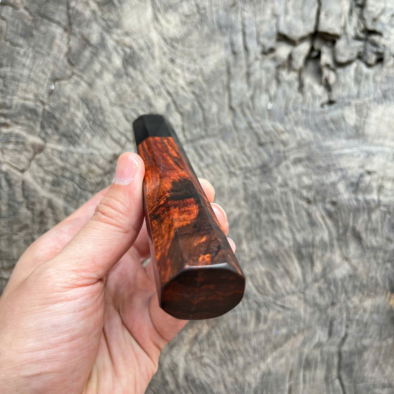 I - 6 Curly Black Red Siam Rosewood Wa handle, black horn ferrule - 140mm