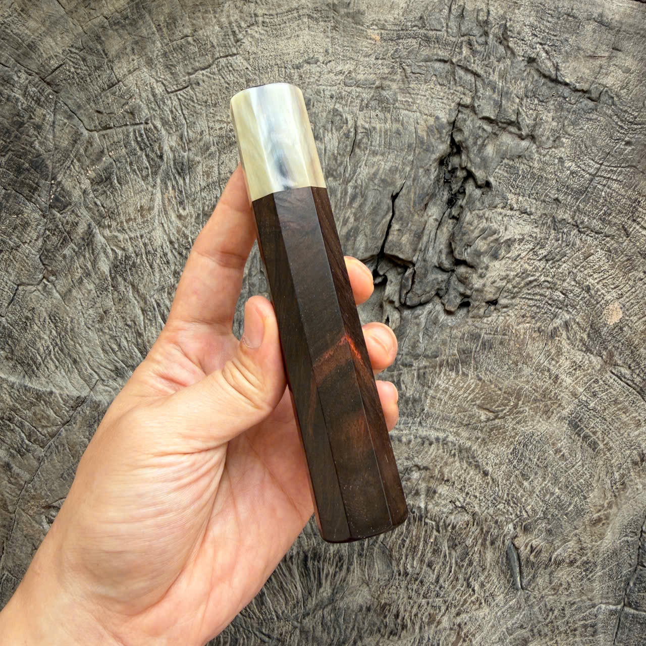 I - Black Curly Siamese Rosewood Wa handle, Cream horn Ferrule, 145 mm handle