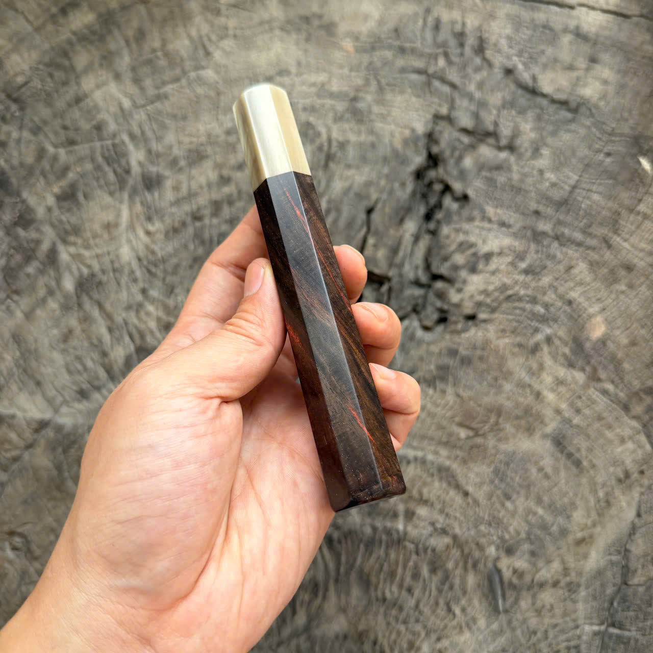 I - Black Curly Siamese Rosewood Wa handle, Cream horn Ferrule, 145 mm handle
