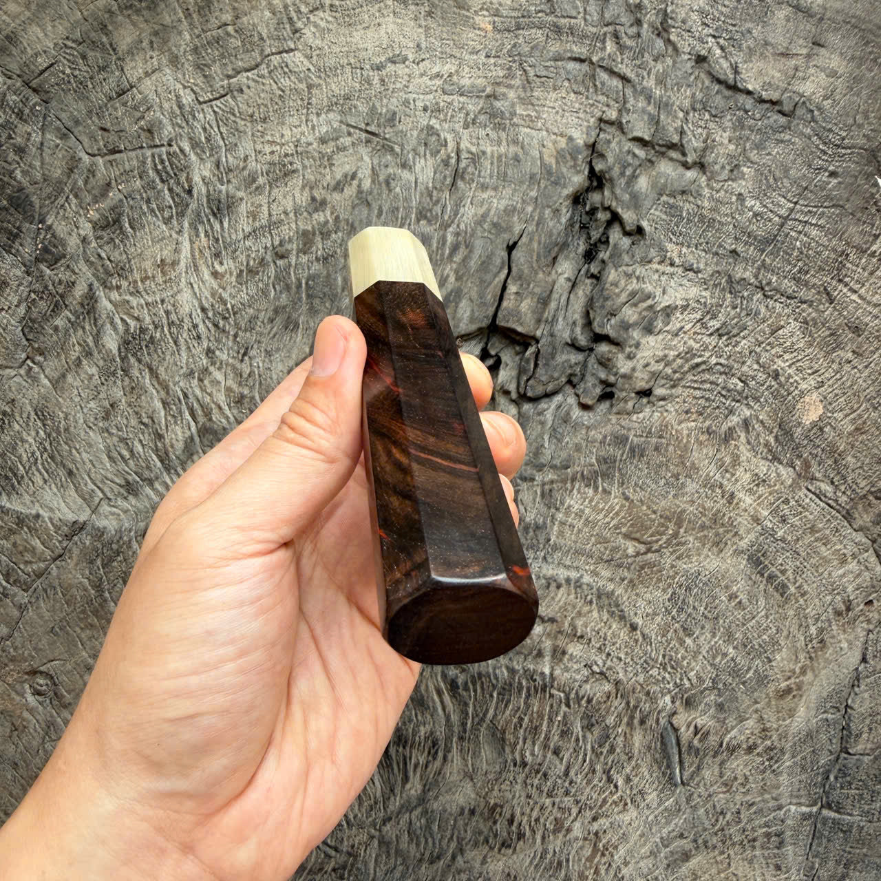 I - Black Curly Siamese Rosewood Wa handle, Cream horn Ferrule, 145 mm handle