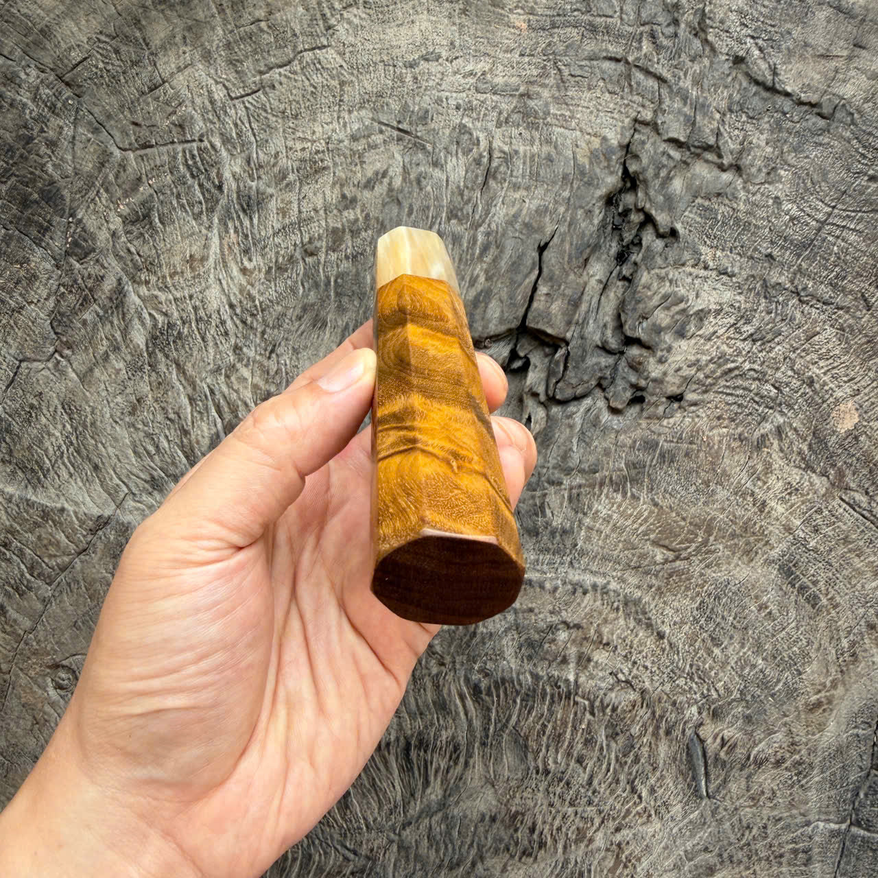 I -3 Golden nanmu wood wa handle , Cream horn ferrule , 140mm handle