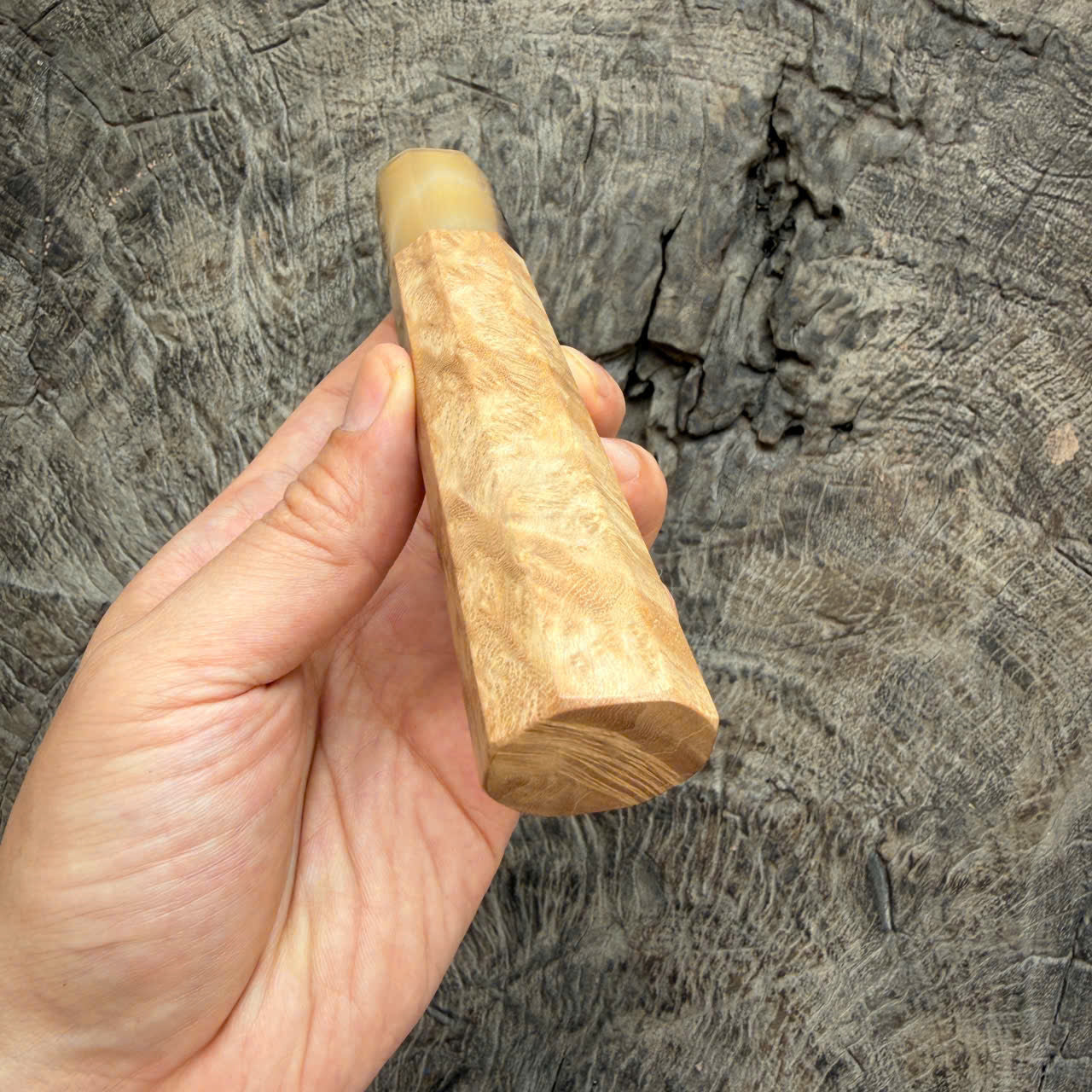 I -5 Burl Crape myrtle wood wa handle , White horn ferrule , 140mm handle