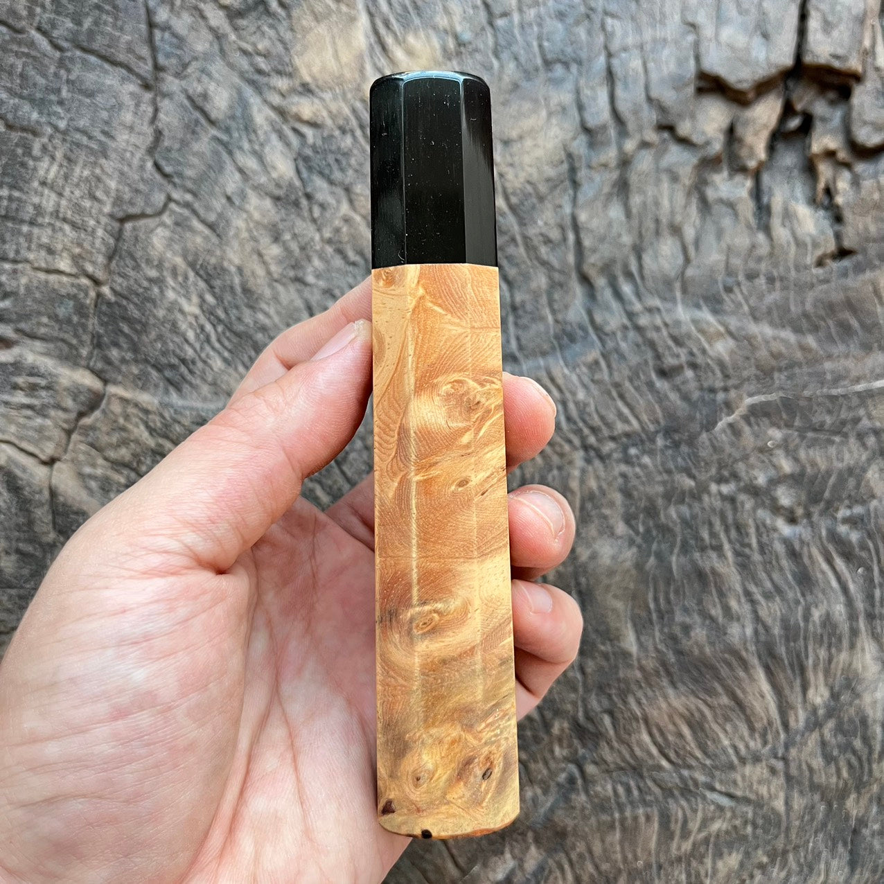 I- 3 Burl Dragon burl with black horn ferrule - 135mm