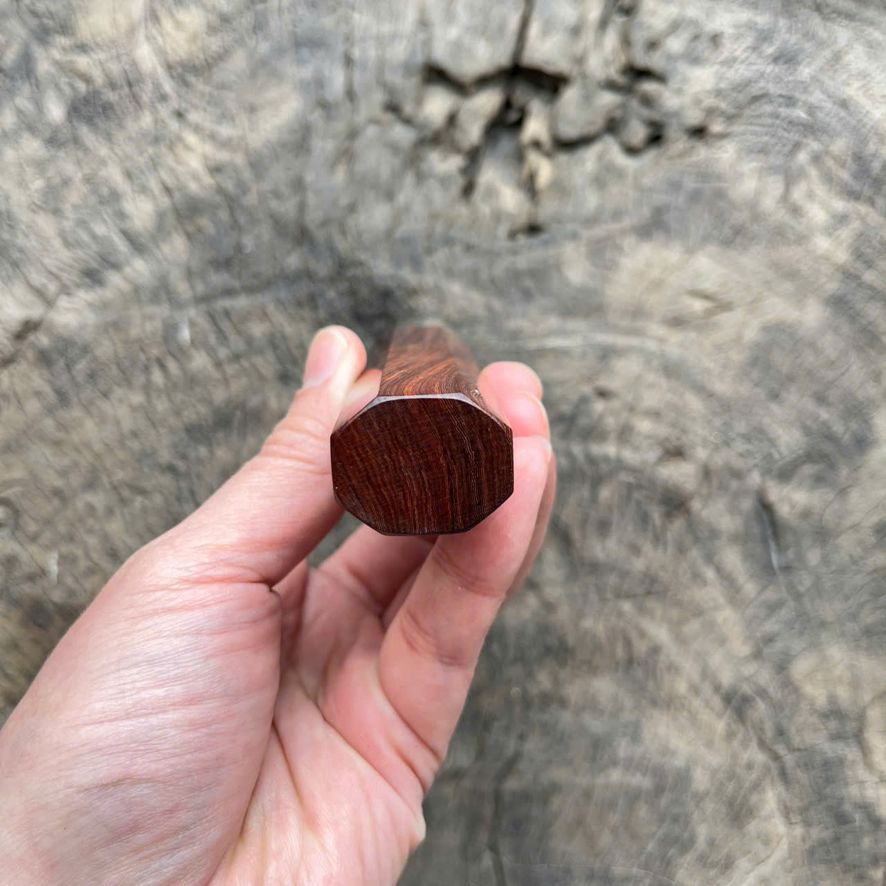 I - Lovely Cross grain Rosewood, Marble horn ferrule, 140mm